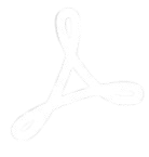 PDF file
